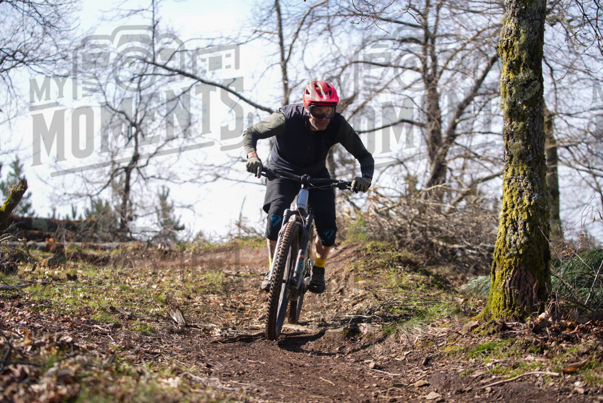 2026_28Fev26 Downhill Serra da Lousã_JFP05214.jpg