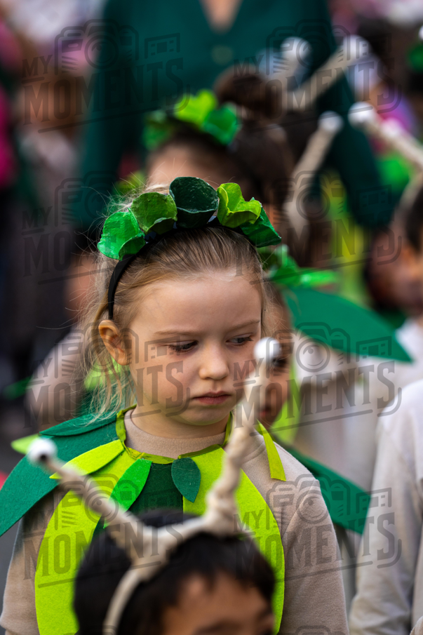 2026_24-Mar-26 Arruada em Contramedo_JFP06733.jpg