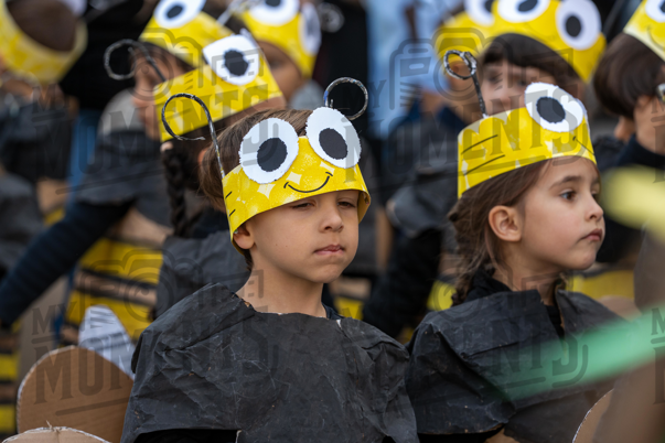 2026_24-Mar-26 Arruada em Contramedo_JFP06769.jpg