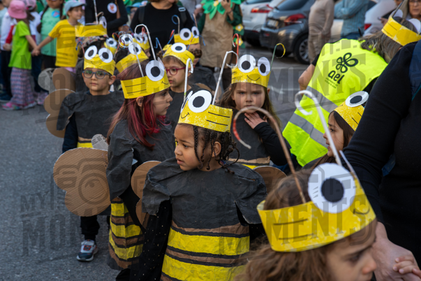 2026_24-Mar-26 Arruada em Contramedo_JFP07060.jpg