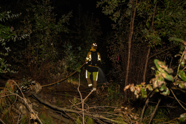2026_27-Mar-26 European Wildfire Academy_JFP08132.jpg