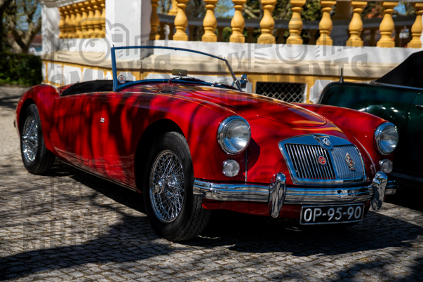 2026_29-Mar-26 Grupo Ingleses do Centro_JFP08417.jpg