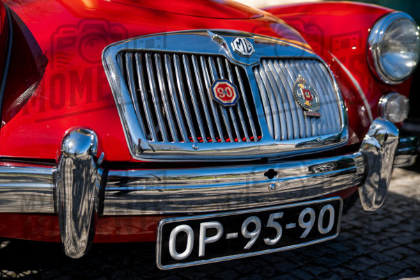 2026_29-Mar-26 Grupo Ingleses do Centro_JFP08418.jpg