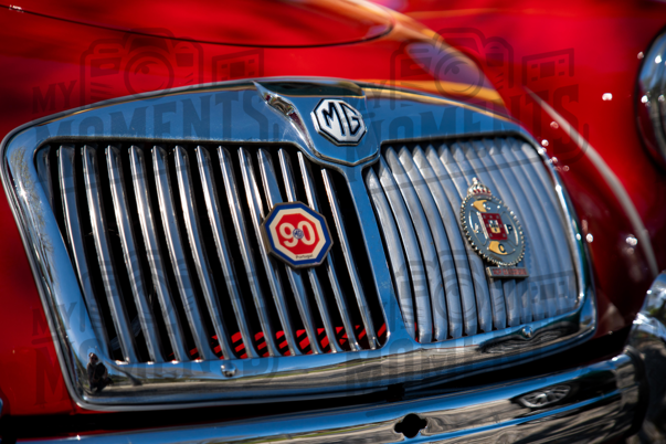 2026_29-Mar-26 Grupo Ingleses do Centro_JFP08419.jpg