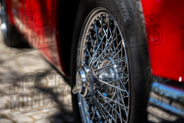 2026_29-Mar-26 Grupo Ingleses do Centro_JFP08420.jpg