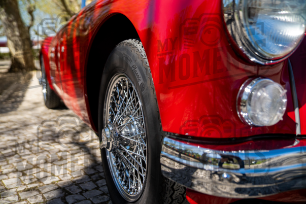 2026_29-Mar-26 Grupo Ingleses do Centro_JFP08421.jpg