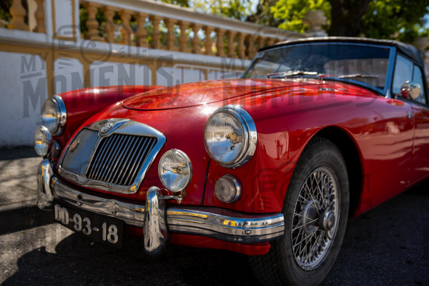 2026_29-Mar-26 Grupo Ingleses do Centro_JFP08482.jpg