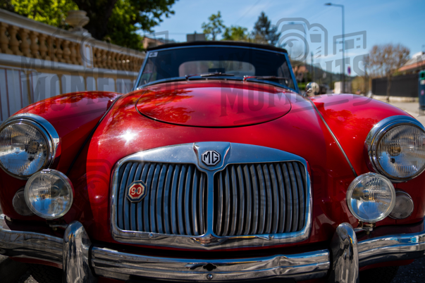 2026_29-Mar-26 Grupo Ingleses do Centro_JFP08483.jpg