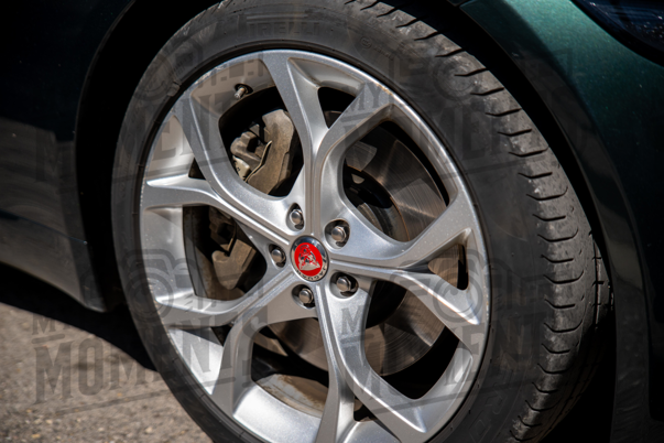 2026_29-Mar-26 Grupo Ingleses do Centro_JFP08514.jpg