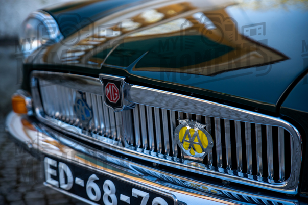 2026_29-Mar-26 Grupo Ingleses do Centro_JFP08519.jpg