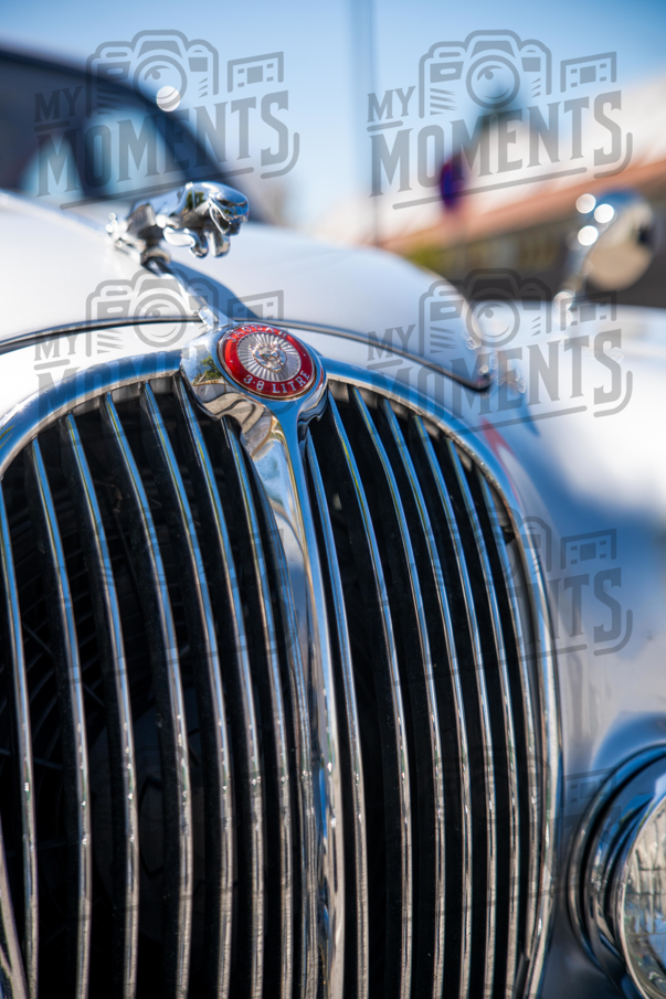 2026_29-Mar-26 Grupo Ingleses do Centro_JFP08522.jpg