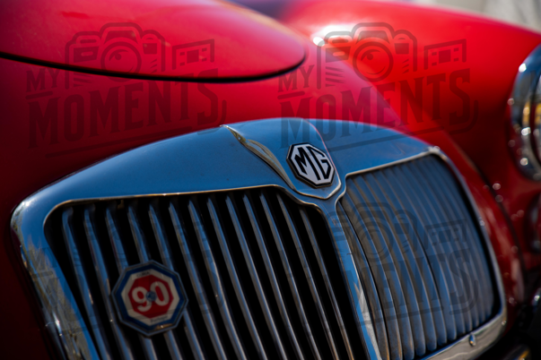 2026_29-Mar-26 Grupo Ingleses do Centro_JFP08526.jpg