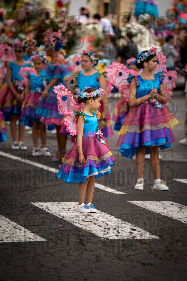 2026_04Mai25 Festa das Flores - Antes do Desfile_JFP02227.jpg