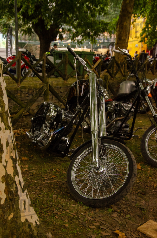 2026_14-Ago-2026 Góis Moto Clube - EXPOSIÇÂO DE MOTAS_DSC_8644.jpg
