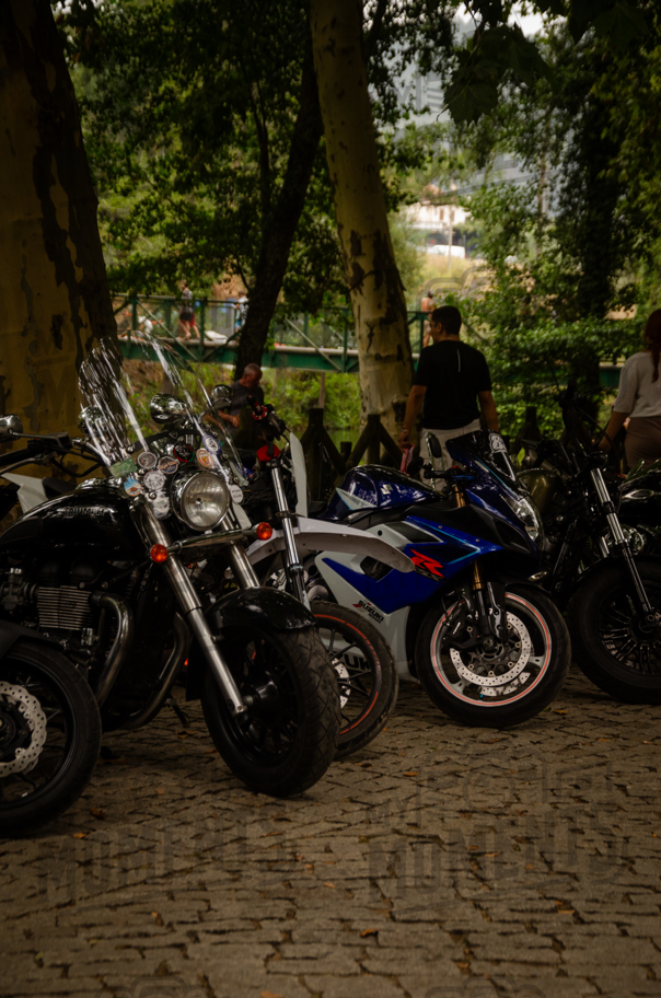2026_14-Ago-2026 Góis Moto Clube - EXPOSIÇÂO DE MOTAS_DSC_8675.jpg