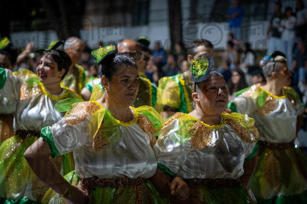 2025_Marchas de São João - Lousã 23Jun25_JFP06255.jpg